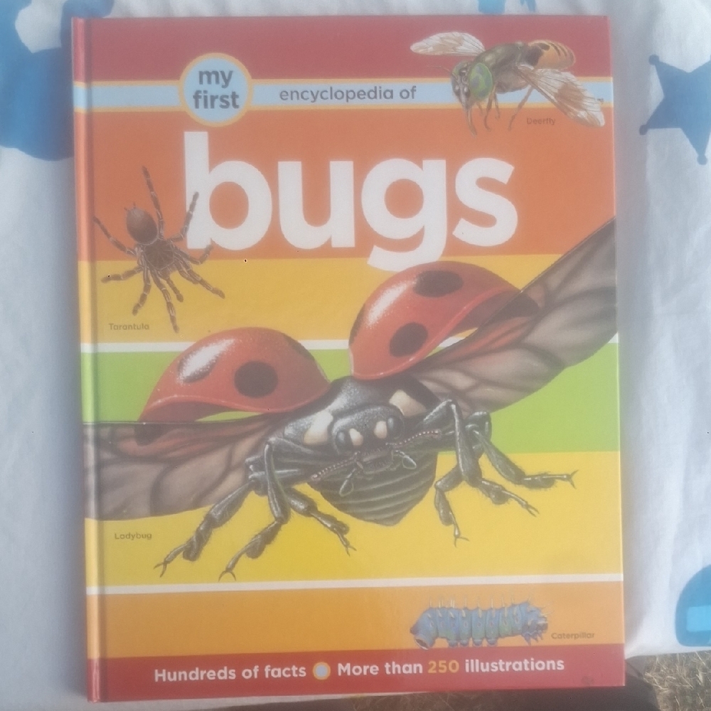 My First Encyclopedia of Bugs - Colorful Children's Book